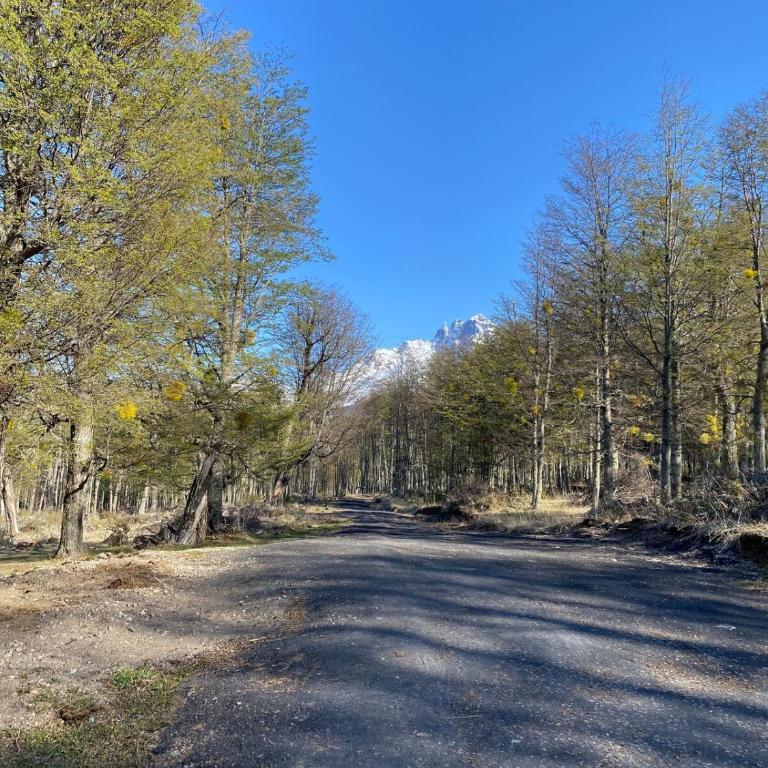 Tiny a 6 kilómetros de Villa Cerro Castillo Aysen Carretera Austral - One-Bedroom House - 7