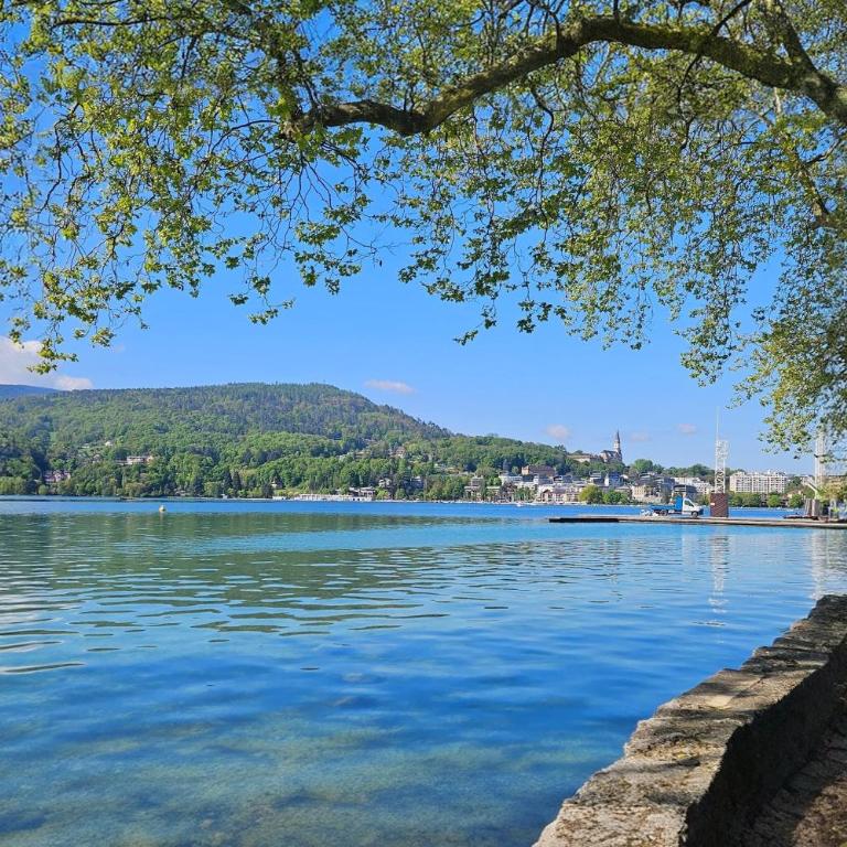 Le Syrme • 450m de la plage, balcon & parking - Studio - 20