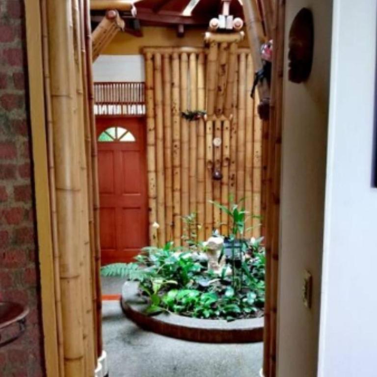 Cali salsa y rumba ,casa de los perezosos - Habitación Doble - 2 camas - 19