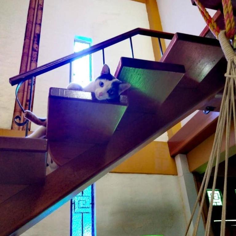 Cali salsa y rumba ,casa de los perezosos - Habitación Triple - 16