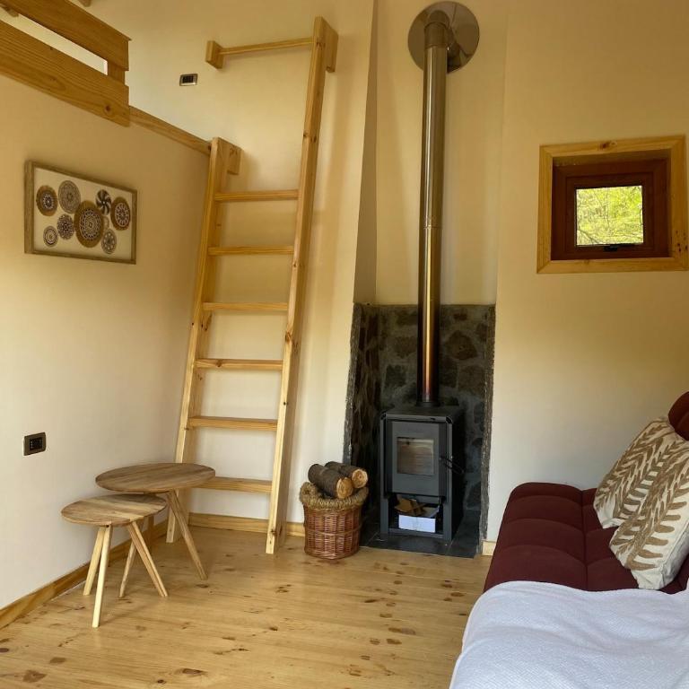 Mini Casa a 6 kilómetros de Villa Cerro Castillo Aysen Carretera Austral - One-Bedroom House - 2