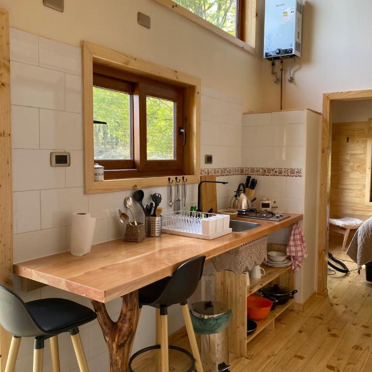 Mini Casa a 6 kilómetros de Villa Cerro Castillo Aysen Carretera Austral - One-Bedroom House - 3