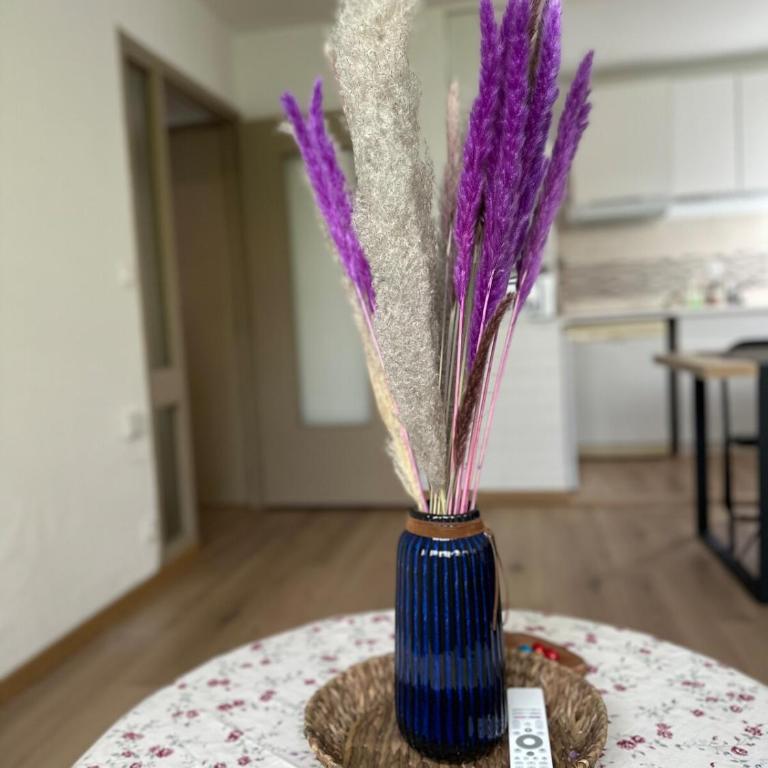 L Ésprit Stanislas, Appartement élégant au centre de Nancy à 3 min de la gare SNCF - Apartamento - Planta baja - 2