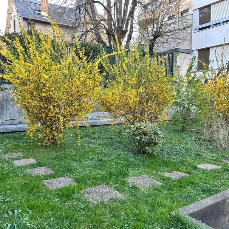 L Ésprit Stanislas, Appartement élégant au centre de Nancy à 3 min de la gare SNCF - Apartamento - Planta baja - 9
