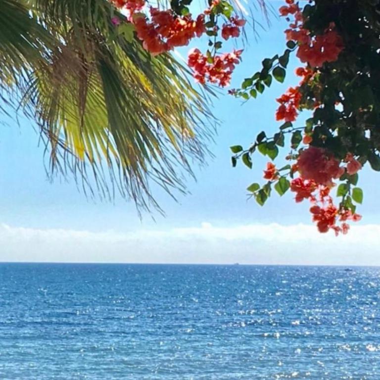 MI CAPRICHO 12 - Luxury Beachfront Apartment- Costa del Sol - Three-Bedroom Apartment - 47
