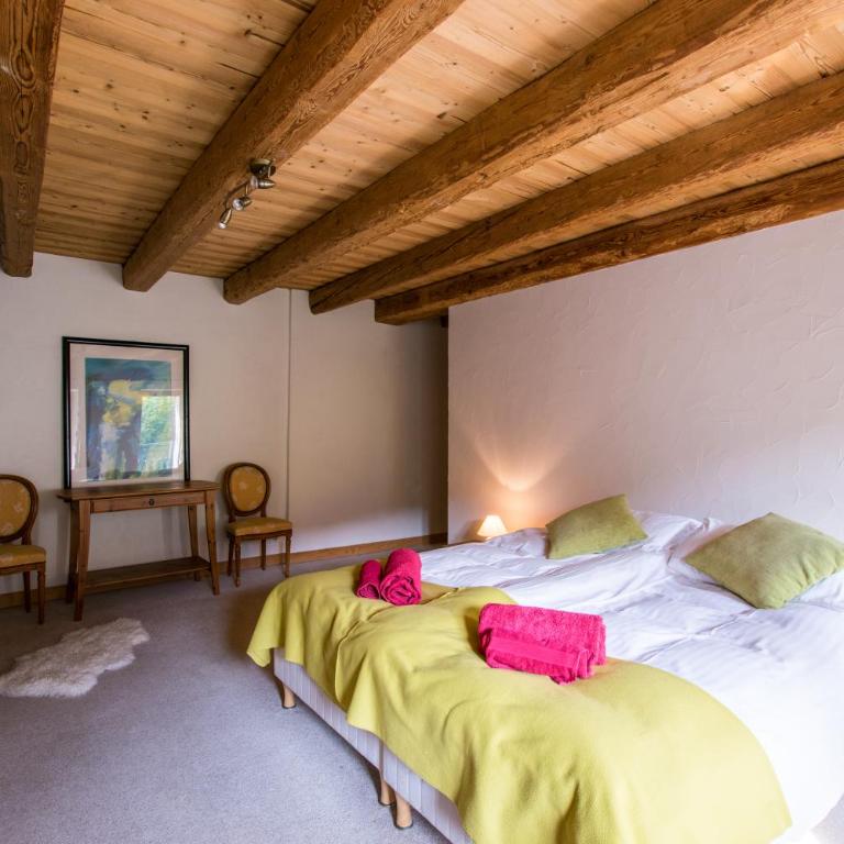La Ferme du Château - Chambre Double ou Lits Jumeaux - Vue sur Montagnes - 1