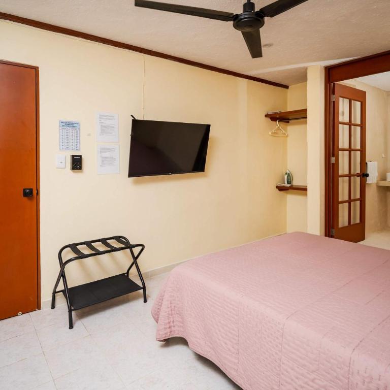 Bright & Spacious Ground Floor Suite Casa Jurel - Apartment - 7