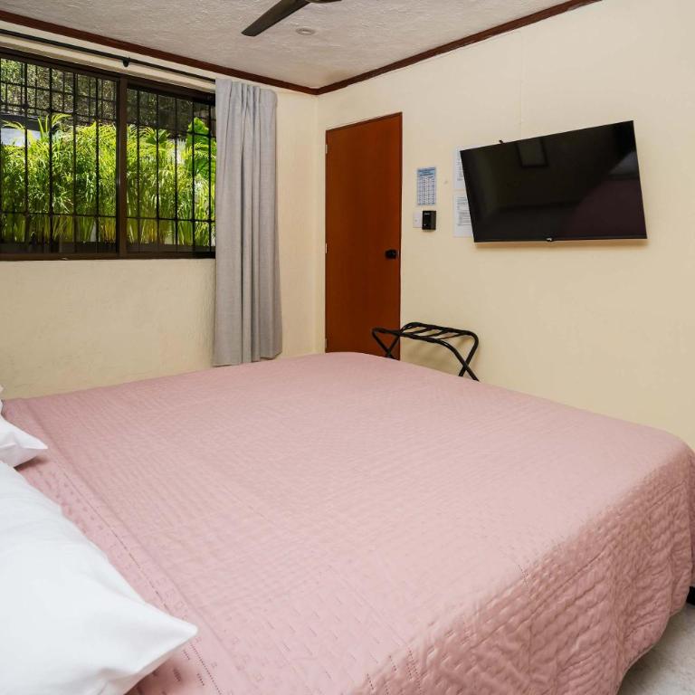 Bright & Spacious Ground Floor Suite Casa Jurel - Apartment - 13