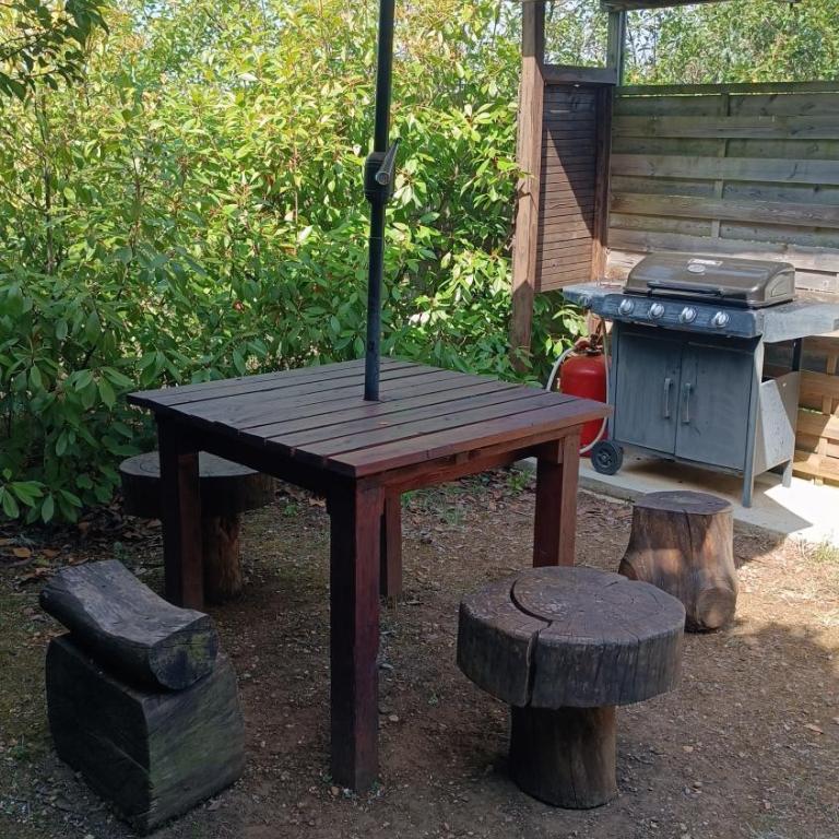 patrice et chrstel Cabane en bois - Chalet - 4