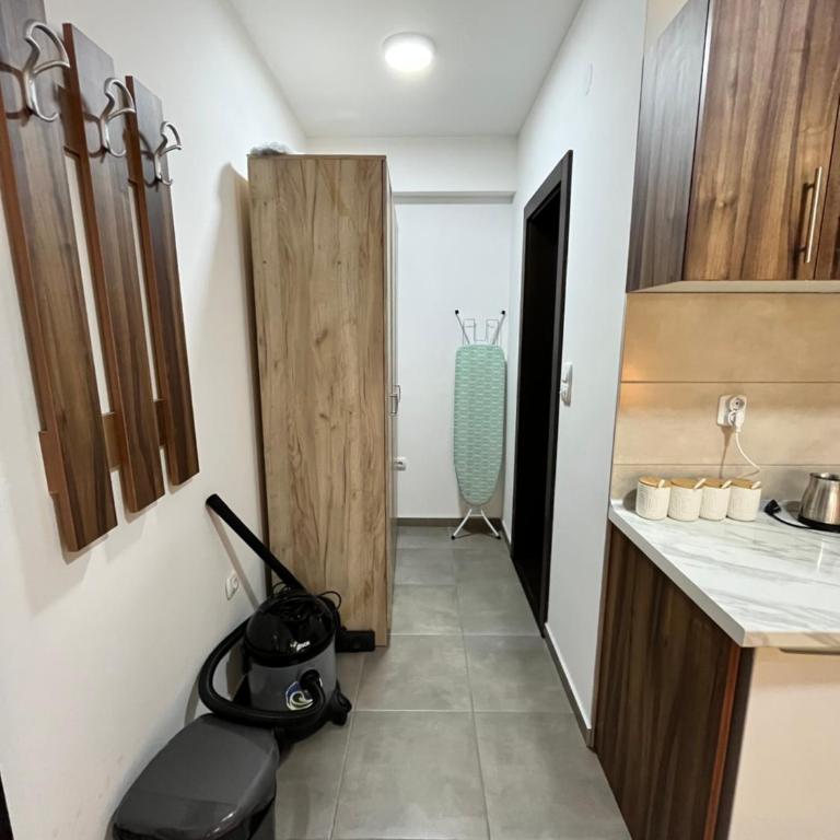 Apartman Nestoria Sokobanja - One-Bedroom Apartment - 12