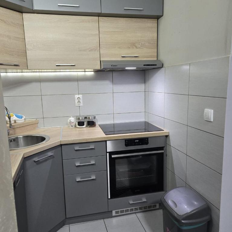 Ceca - Apartman sa 2 Spavaće Sobe - 1