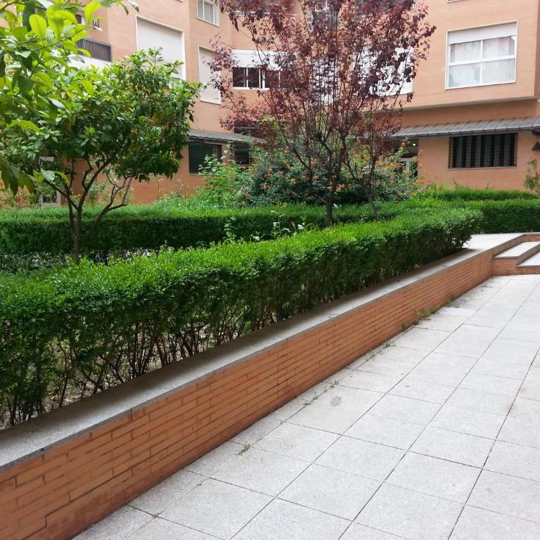Apartamento Buhaira - Apartamento de 2 dormitorios - 28