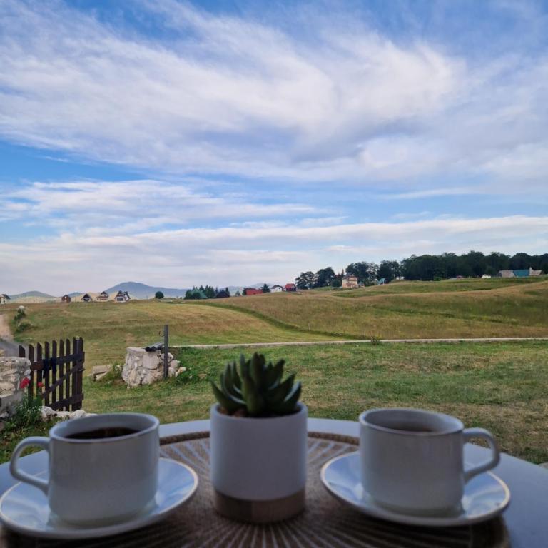 Biser Durmitora - Vacation Home - 1