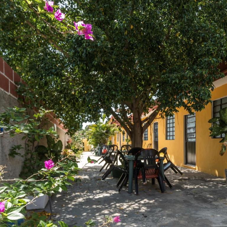 Casa Cuevas & Amaro - Budget Double Room - 1