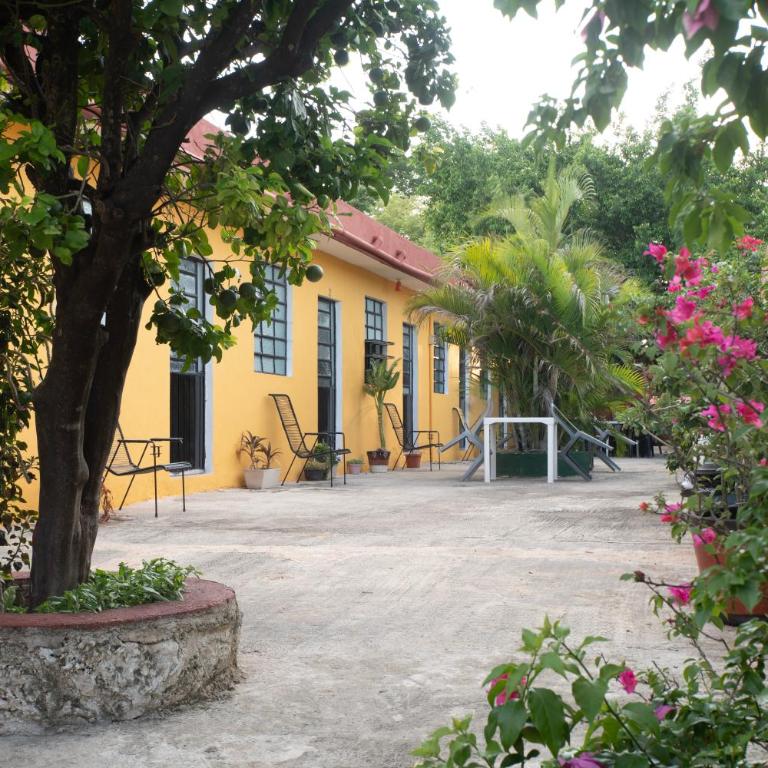 Casa Cuevas & Amaro - Budget Double Room - 3