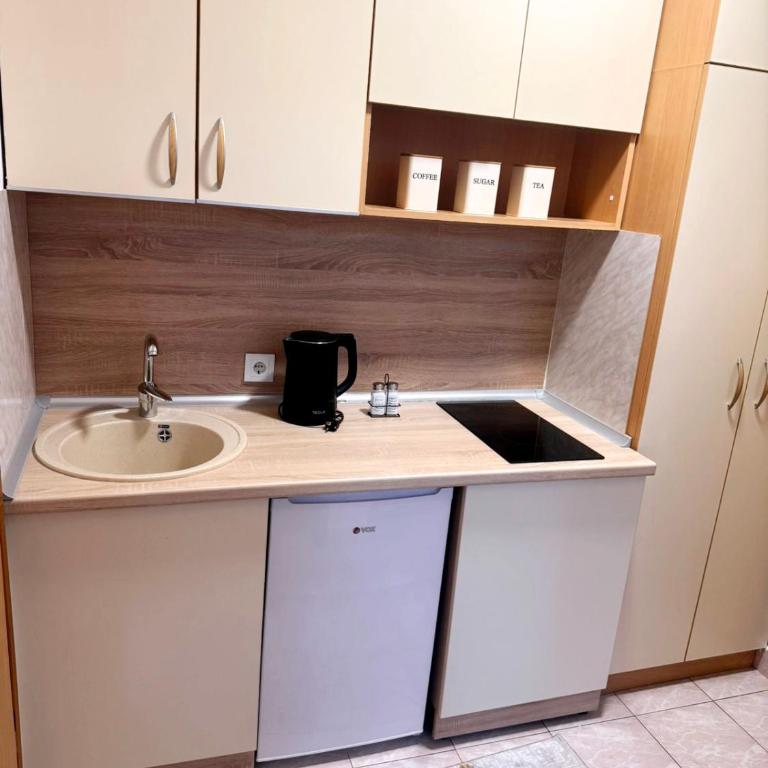 Vintage Soul Sarajevo - Apartman sa 1 Spavaćom Sobom - 12