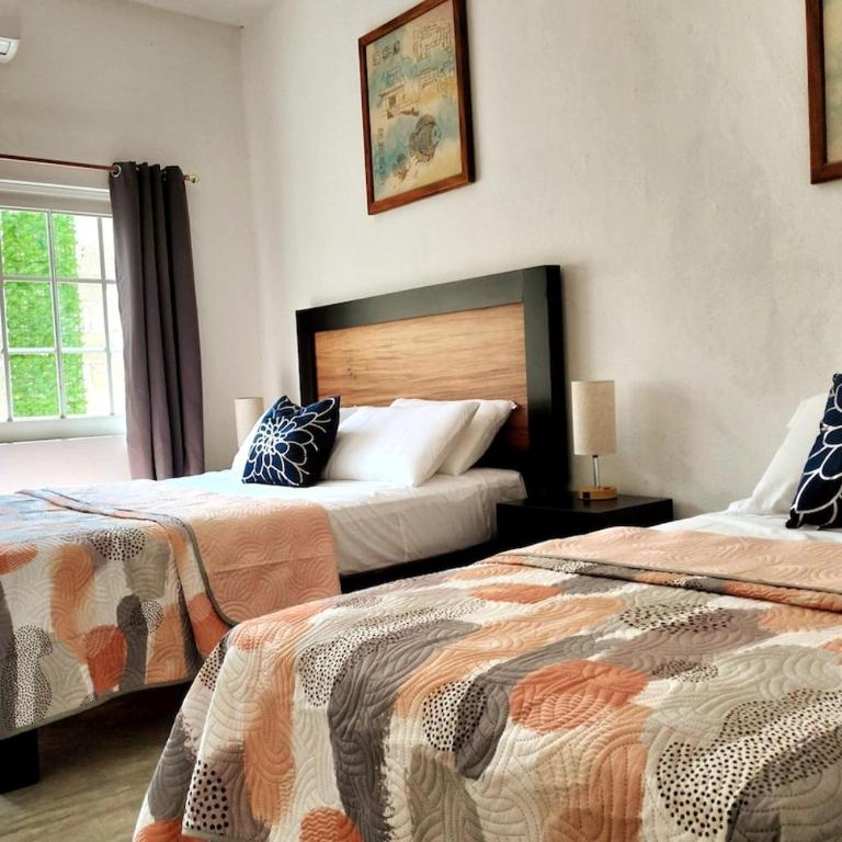 Departamento Tulipan Puerto Vallarta - Apartamento de 1 dormitorio - 1