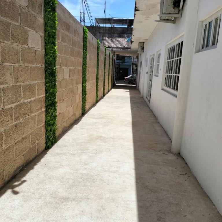 Departamento Tulipan Puerto Vallarta - Apartamento de 1 dormitorio - 16