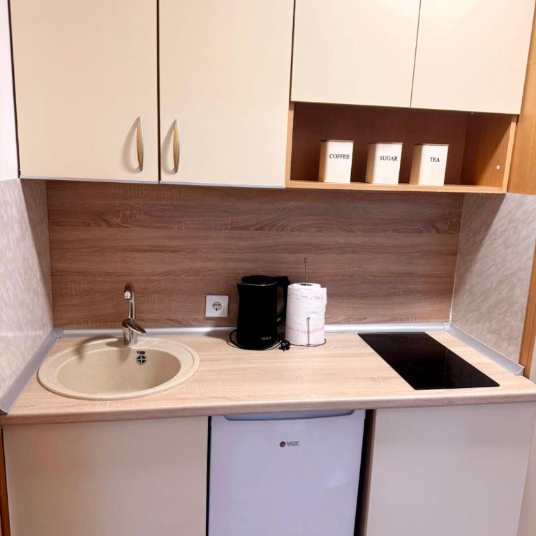 Vintage Soul Sarajevo - Apartman sa 1 Spavaćom Sobom - 11