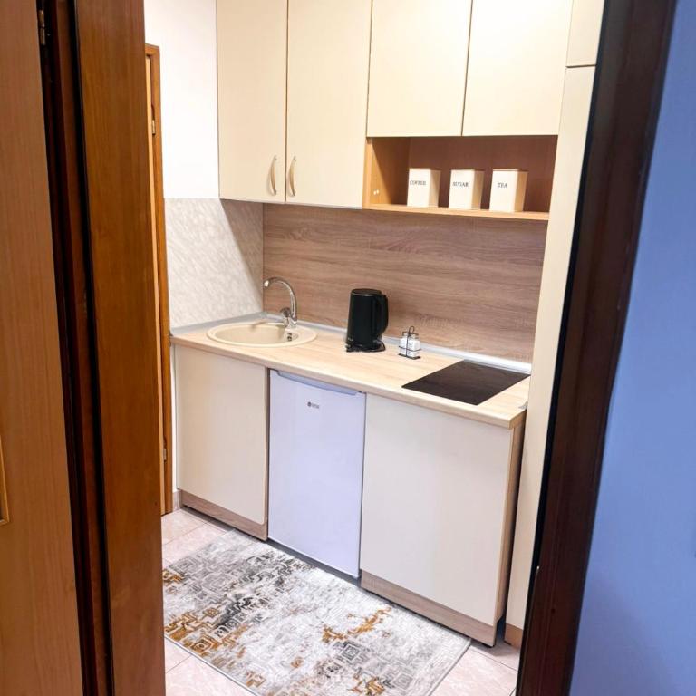 Vintage Soul Sarajevo - Apartman sa 1 Spavaćom Sobom - 10