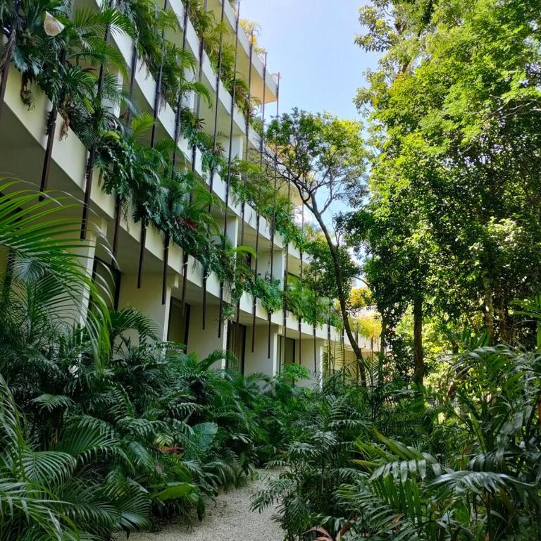 Discreet luxury between jungle and Caribbean Mistiq T 2 - One-Bedroom Apartment - 13