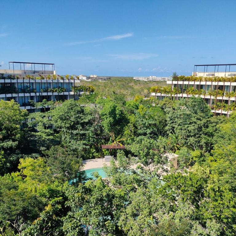 Discreet luxury between jungle and Caribbean Mistiq T 2 - One-Bedroom Apartment - 17