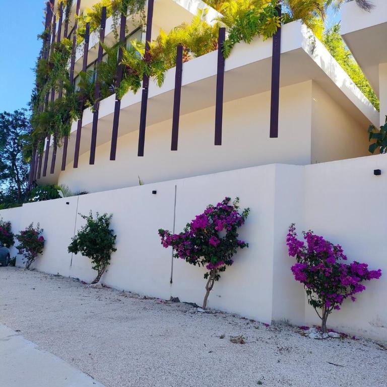 Discreet luxury between jungle and Caribbean Mistiq T 2 - One-Bedroom Apartment - 21