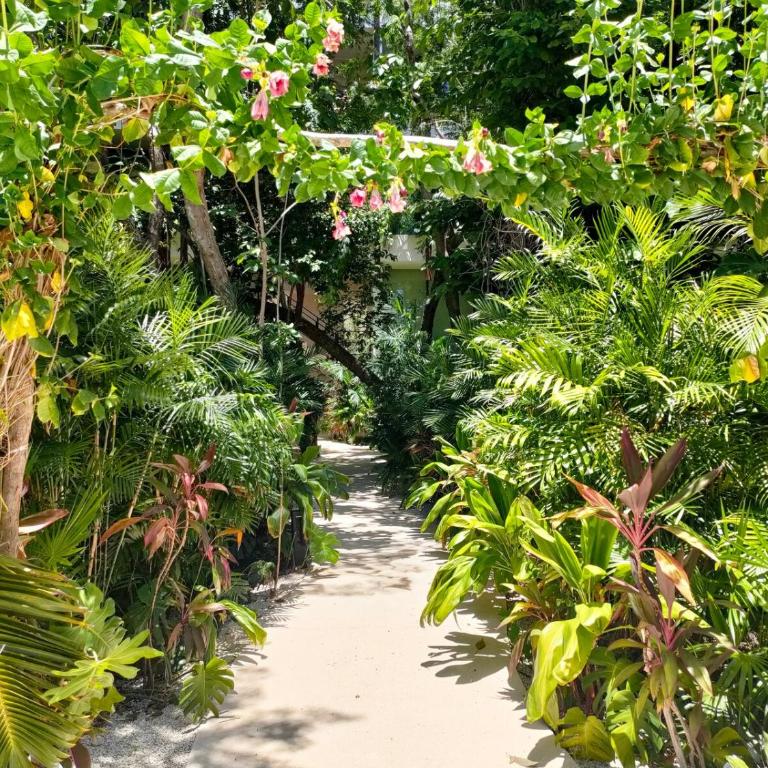 Discreet luxury between jungle and Caribbean Mistiq T 2 - One-Bedroom Apartment - 26