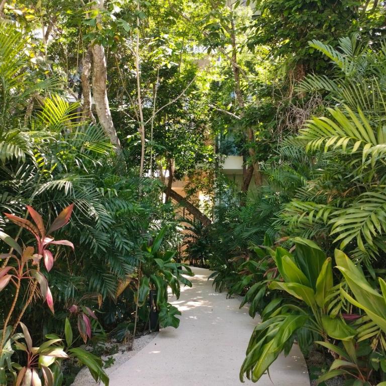 Discreet luxury between jungle and Caribbean Mistiq T 2 - One-Bedroom Apartment - 32