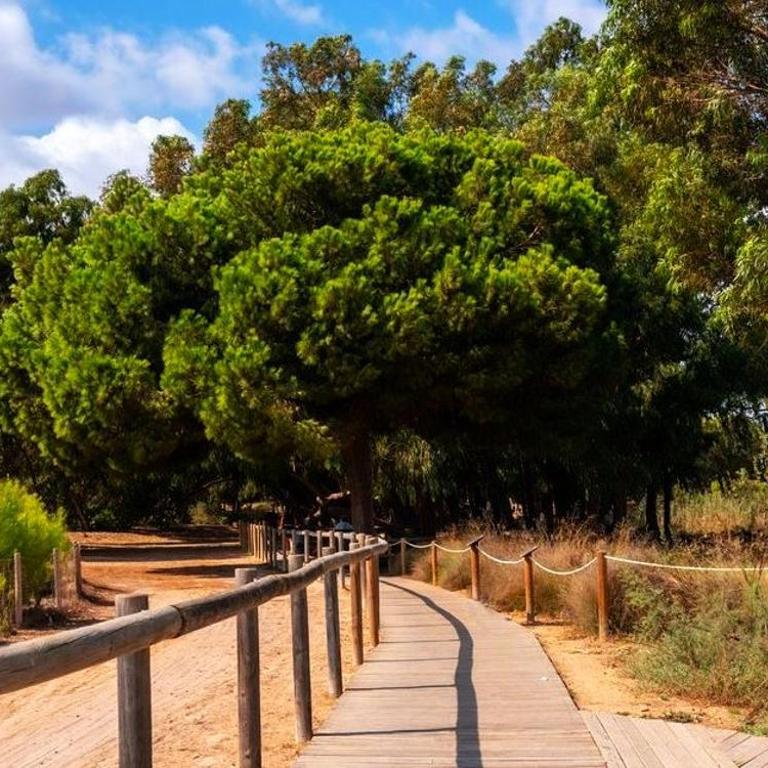 Sunny Time La Mata - One-Bedroom Apartment - 37