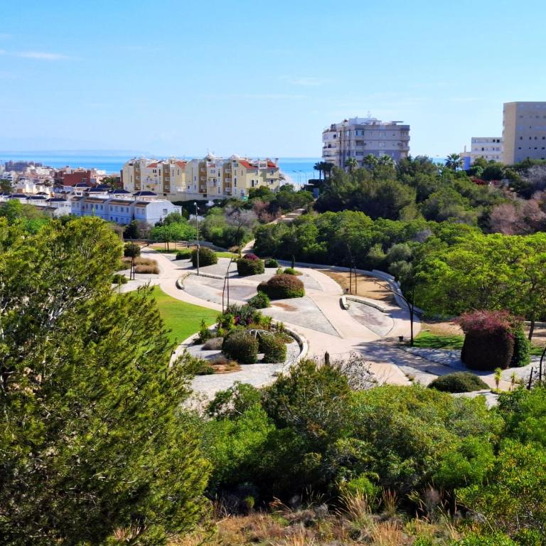 Sunny Time La Mata - One-Bedroom Apartment - 43