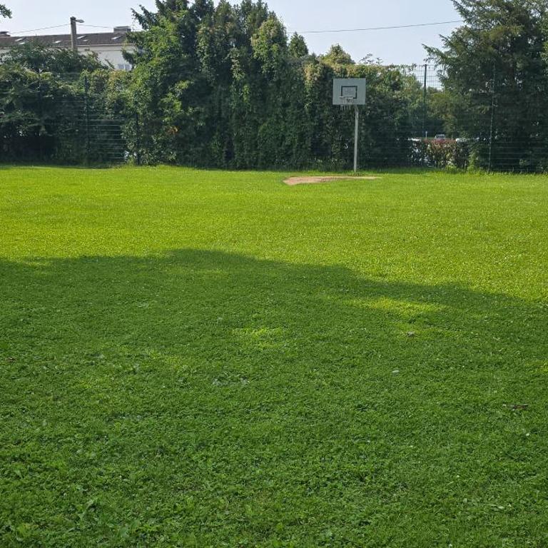 best equiped apartement - Premium Apartment mit 5 Schlafzimmern - 45