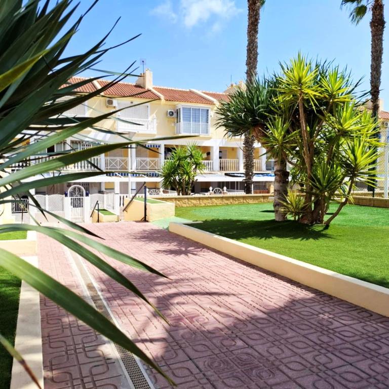 Sunny Time La Mata - One-Bedroom Apartment - 21