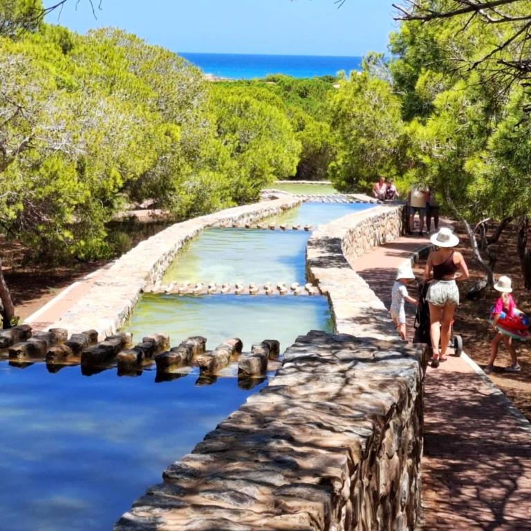Sunny Time La Mata - One-Bedroom Apartment - 36