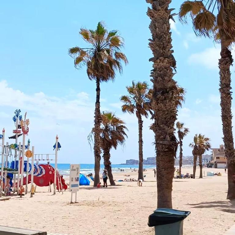 Sunny Time La Mata - One-Bedroom Apartment - 45