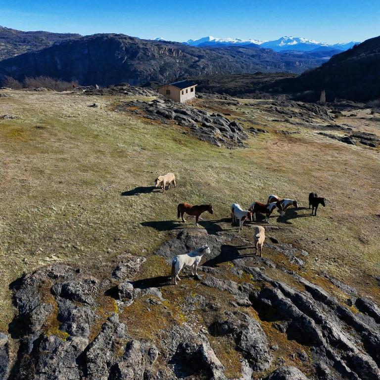 Casa El Puesto Patagonia - Two-Bedroom Chalet - 5