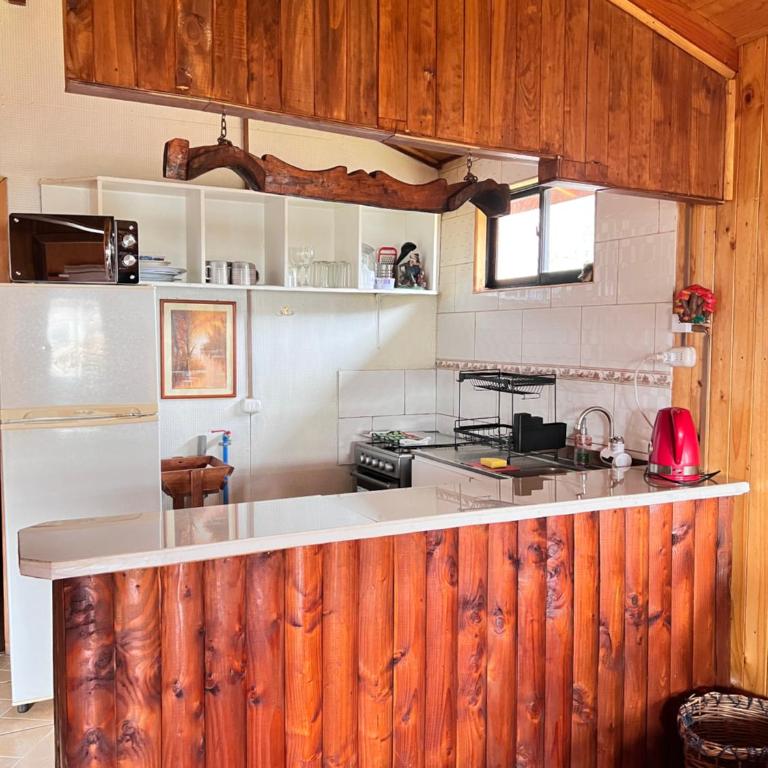 Cabañas ANTUCO NEVADO - Casa de 3 dormitorios - 1