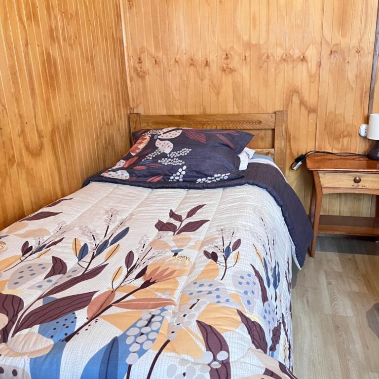 Cabañas ANTUCO NEVADO - Casa de 3 dormitorios - 5