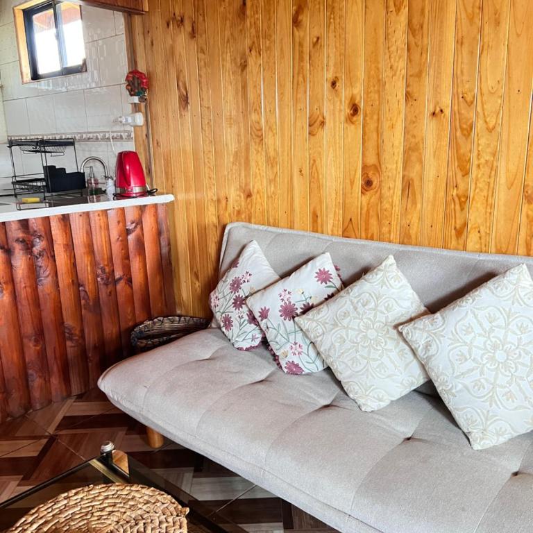 Cabañas ANTUCO NEVADO - Casa de 3 dormitorios - 4