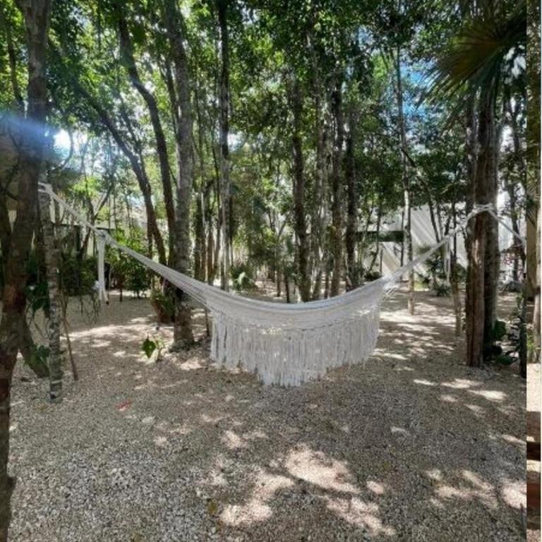 Full Apartment Private Pool, 1 bed, 1 sofa, 1 inflatable - Apartamento - Planta baja - 37