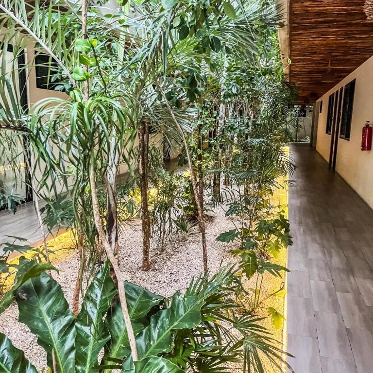 Full Apartment Private Pool, 1 bed, 1 sofa, 1 inflatable - Apartamento - Planta baja - 38
