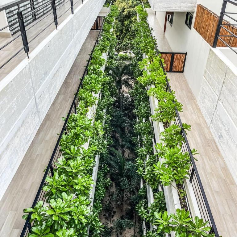 Full Apartment Private Pool, 1 bed, 1 sofa, 1 inflatable - Apartamento - Planta baja - 51