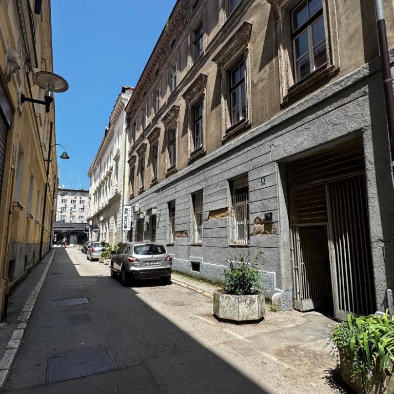 Spacious apartment in the city centre - Apartman sa 3 Spavaće Sobe - 2