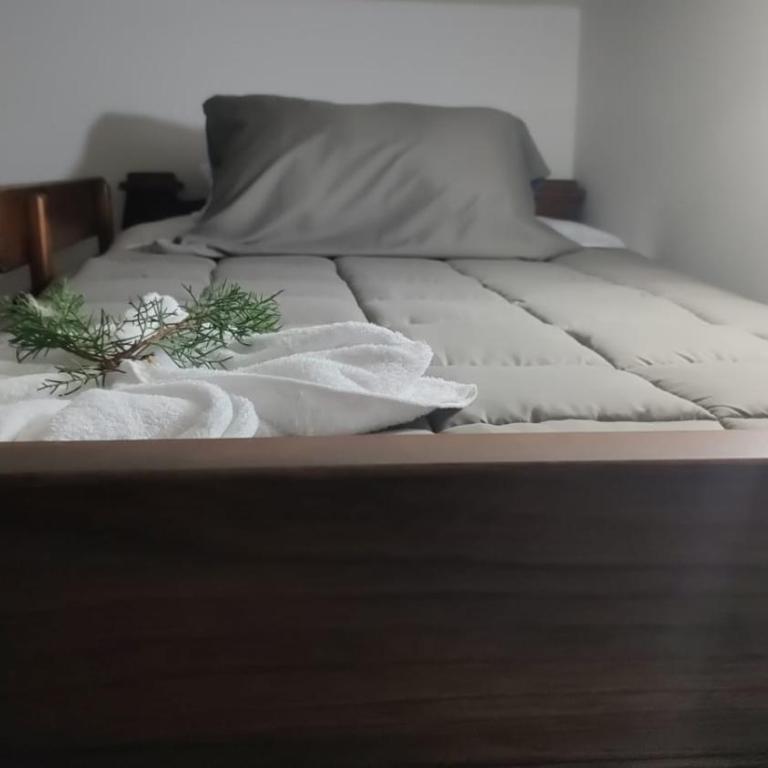 Casa Encanto - Three-Bedroom Apartment - 2