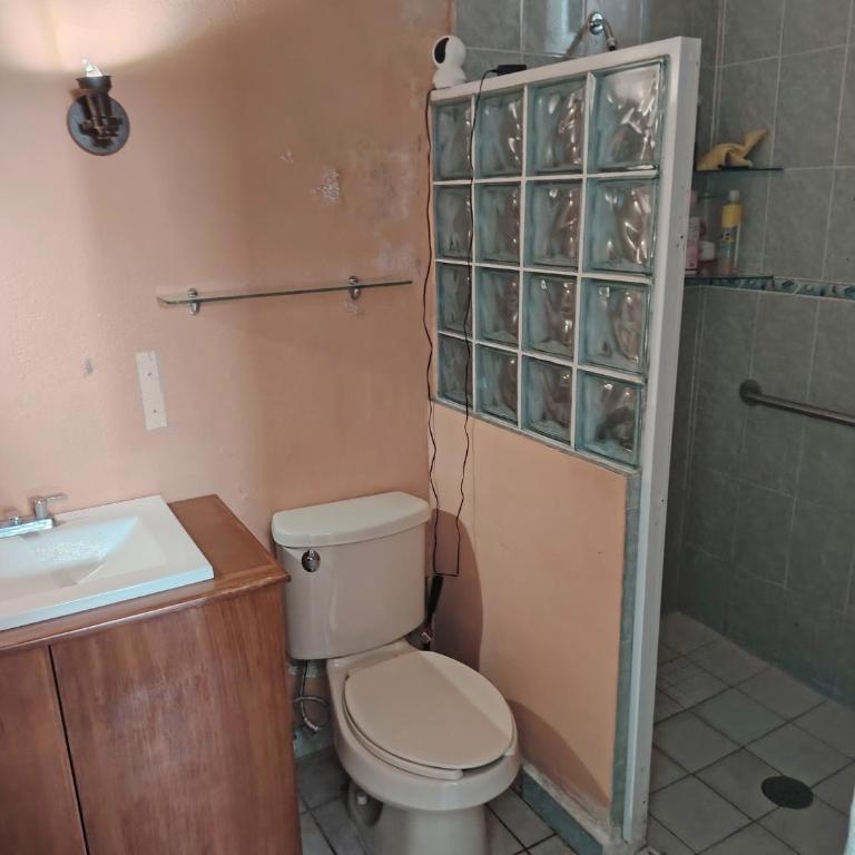 Casa las Flores - Habitación Doble Deluxe con acceso a la piscina - 1 o 2 camas - 2