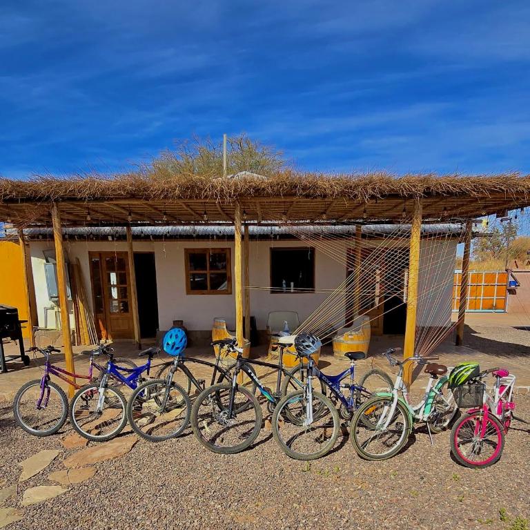 Tiunur Lodge - Triple Room with Private Bathroom - 31