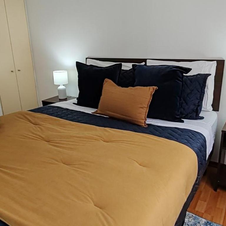 Departamento cercano Movistar Arena, Teatro Capoulican y Teatro Cariola - Apartamento de 1 dormitorio - 9