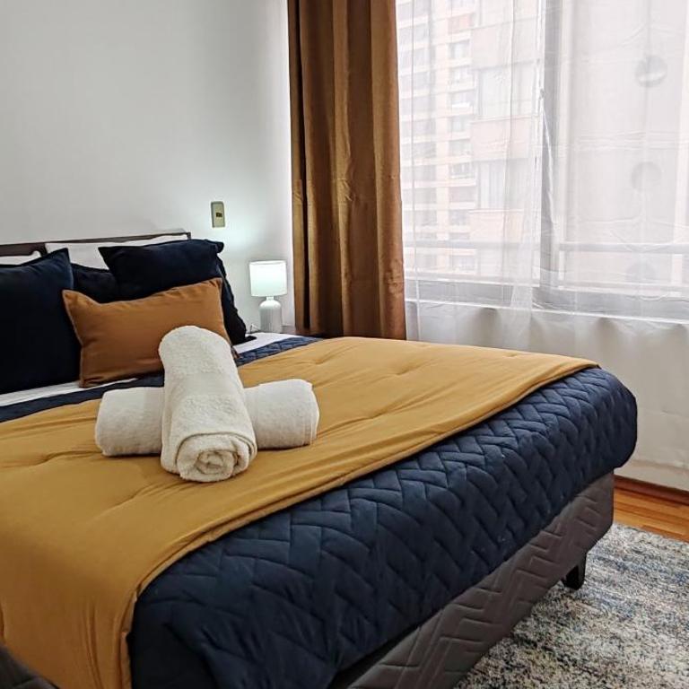 Departamento cercano Movistar Arena, Teatro Capoulican y Teatro Cariola - Apartamento de 1 dormitorio - 11