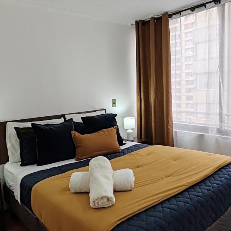 Departamento cercano Movistar Arena, Teatro Capoulican y Teatro Cariola - Apartamento de 1 dormitorio - 8