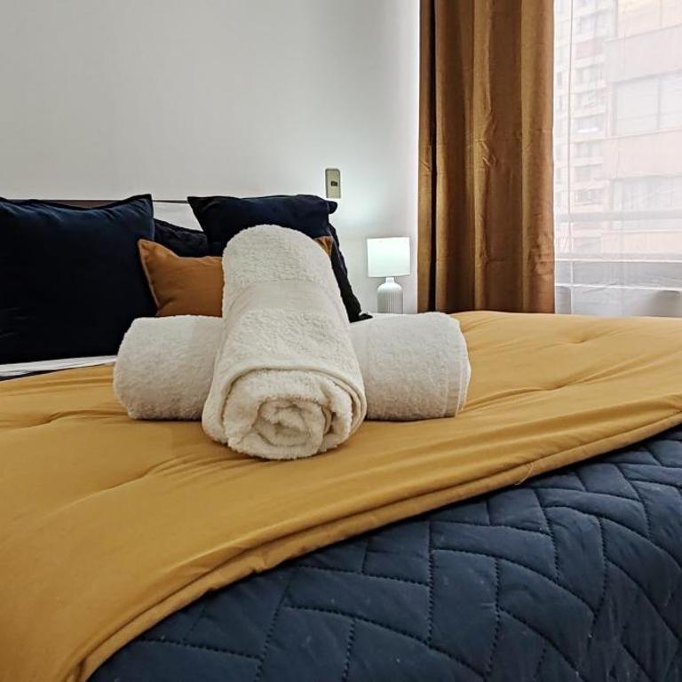 Departamento cercano Movistar Arena, Teatro Capoulican y Teatro Cariola - Apartamento de 1 dormitorio - 12